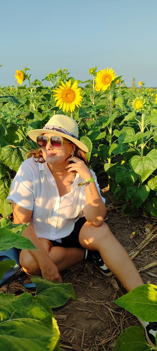 Tevefilia's tweet photo. El viernes nos juntamos un grupo de gente y nos fuimos a conocer un sembradío de girasoles en Turén. Las fotos son bonitas, pero más bonito es todo lo que está detrás de la materialización de este viaje: retomar la carretera, parar en Tinaquillo de madrugada, escuchar la (+) https://t.co/Xn5P06GB71