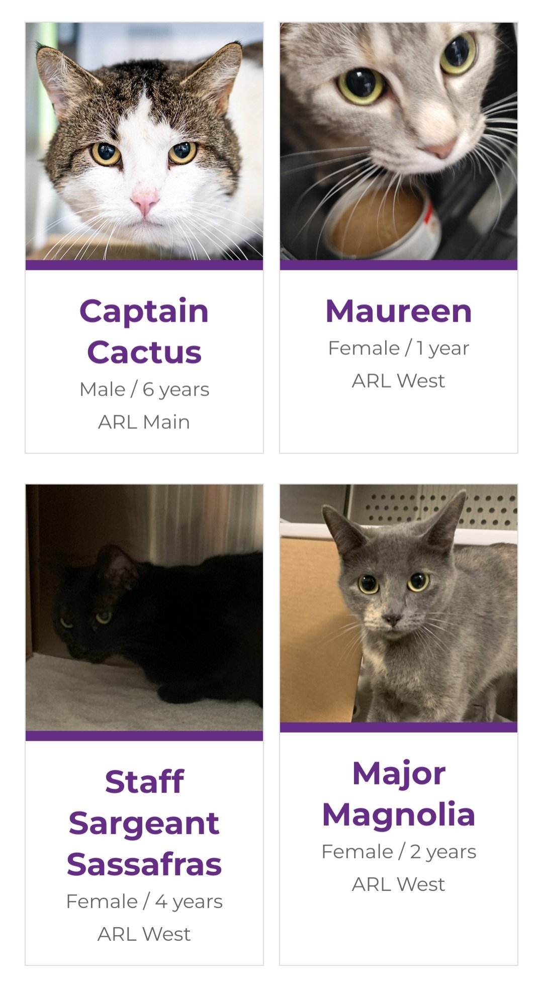 Petfinder adopted store pets