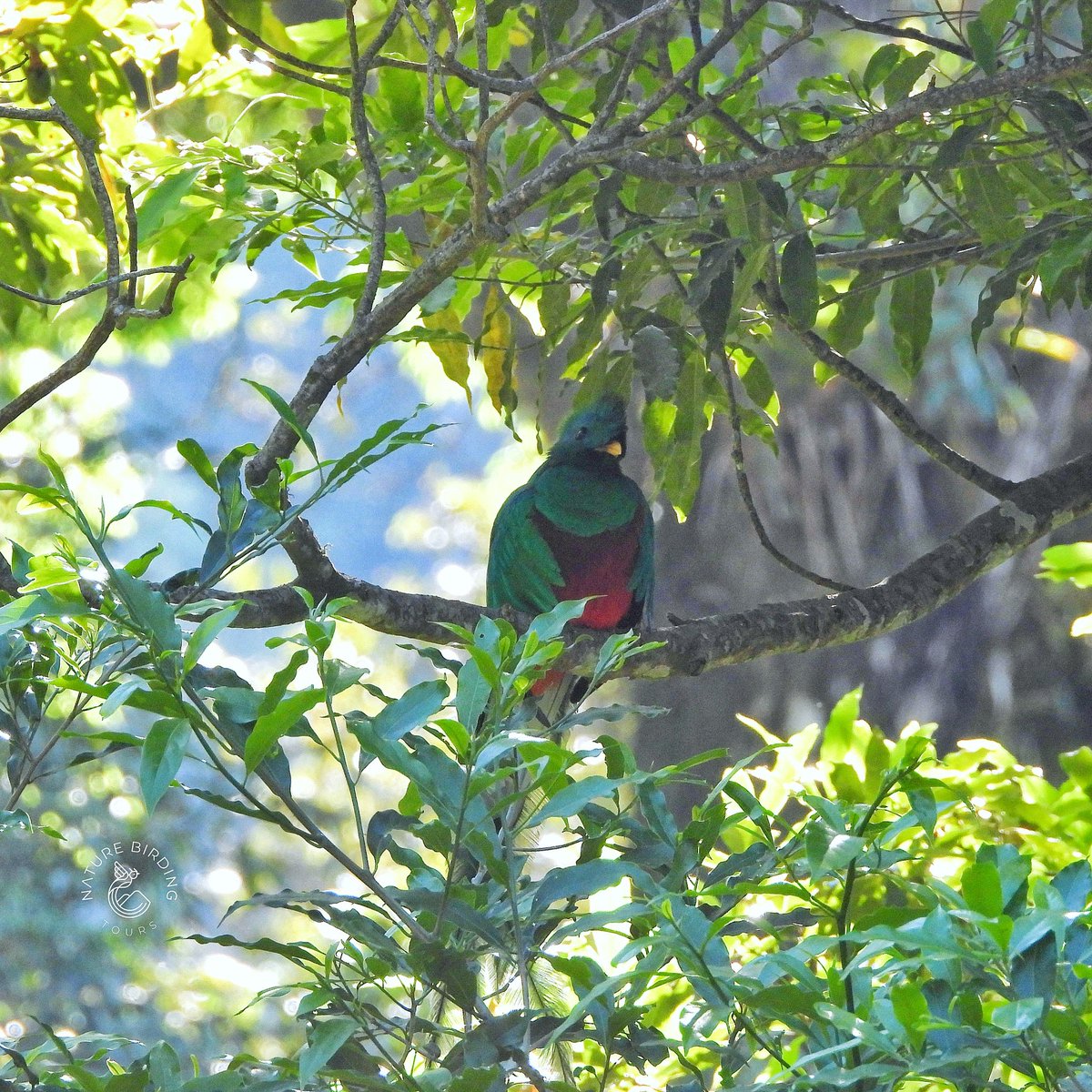 guide_atitlan tweet picture