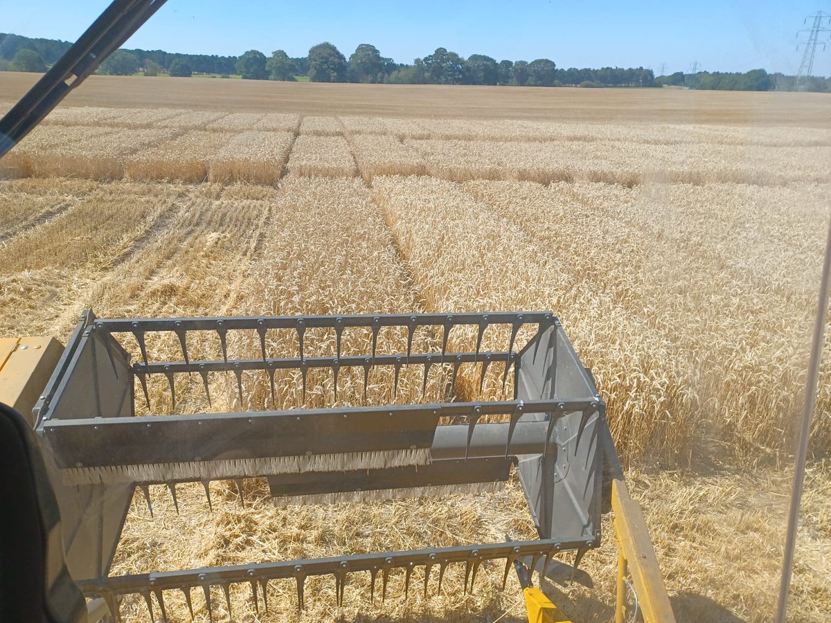 LizzieSagoo's tweet photo. We are looking for field research scientists to join our @ADASBoxworth (Cambs) &amp; @ADASRosemaund (Hereford) teams
Fixed term posts also available at Boxworth, Rosemaund, @ADAS_Mowthorpe (N York) &amp; Llanfan (Ceredigion)
Search for 'Research scientist' https://t.co/9N6Fgj71pW https://t.co/r0hx7IRNDt