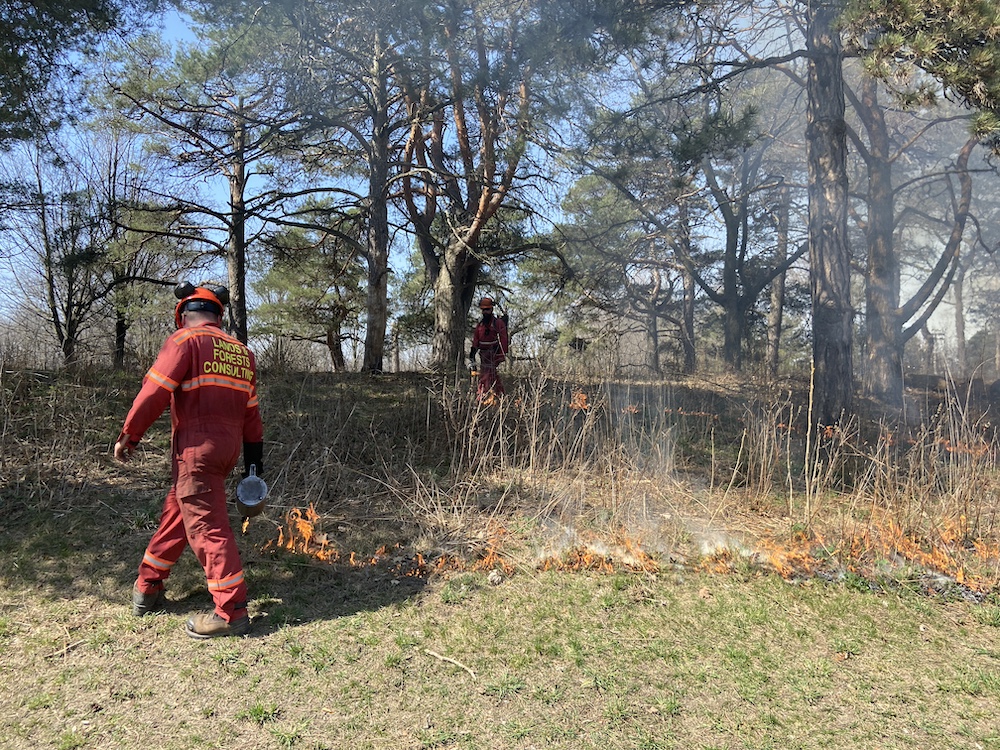 Ground Magazine tweet media