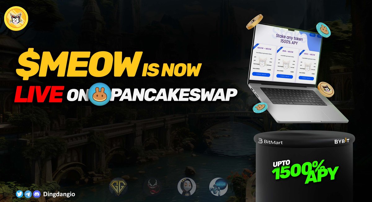 Dingdang $Meow Official Ⓡ tweet media