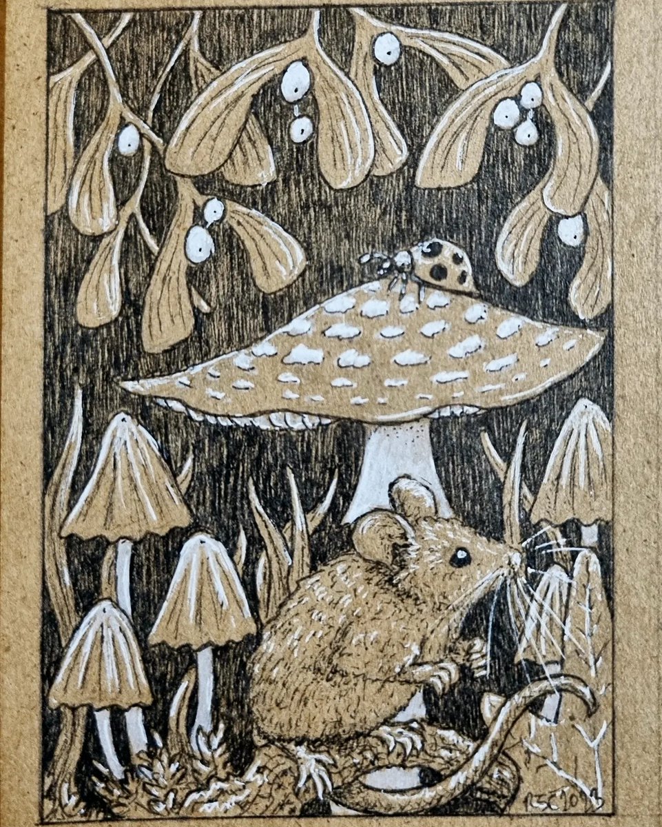 CamfieldBecky's tweet photo. Just some little mice drawings I did as gifts. Tried a different style. 
Ink pen, white marker on brown paper. Approx 11 by 8 cm.

#inkdrawing #micedrawing #cute https://t.co/FXBJGJIZrA