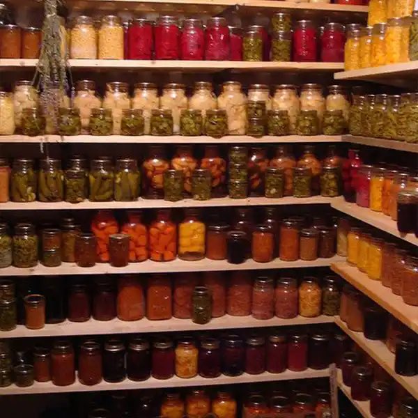 ChileHuerta's tweet photo. Cuando las emergencias suceden, el único conocimiento que realmente importa es cómo purificar agua, cómo cultivar tus propios alimentos, cómo cocinar y cómo construir, y lamentablemente, nada de esto lo aprendemos en la escuela. https://t.co/9Q5vls5eaq