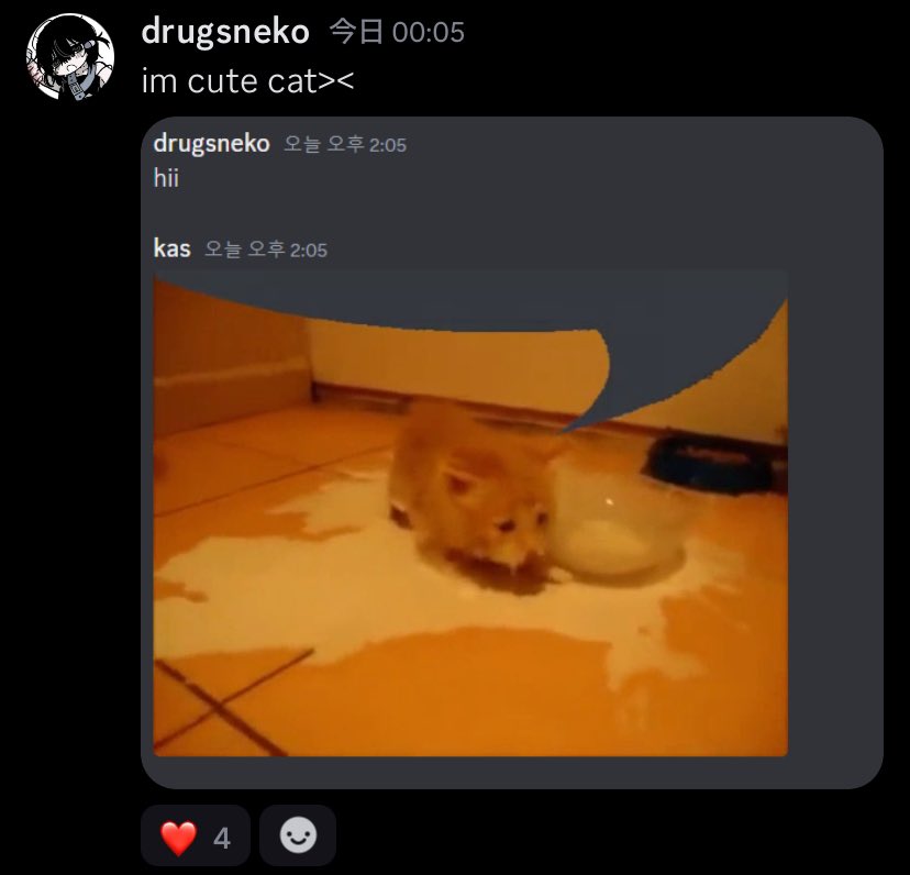 drugsneko is a silly kitty