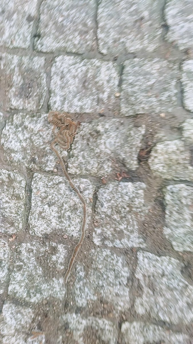 Cuidado en Santa Margarita