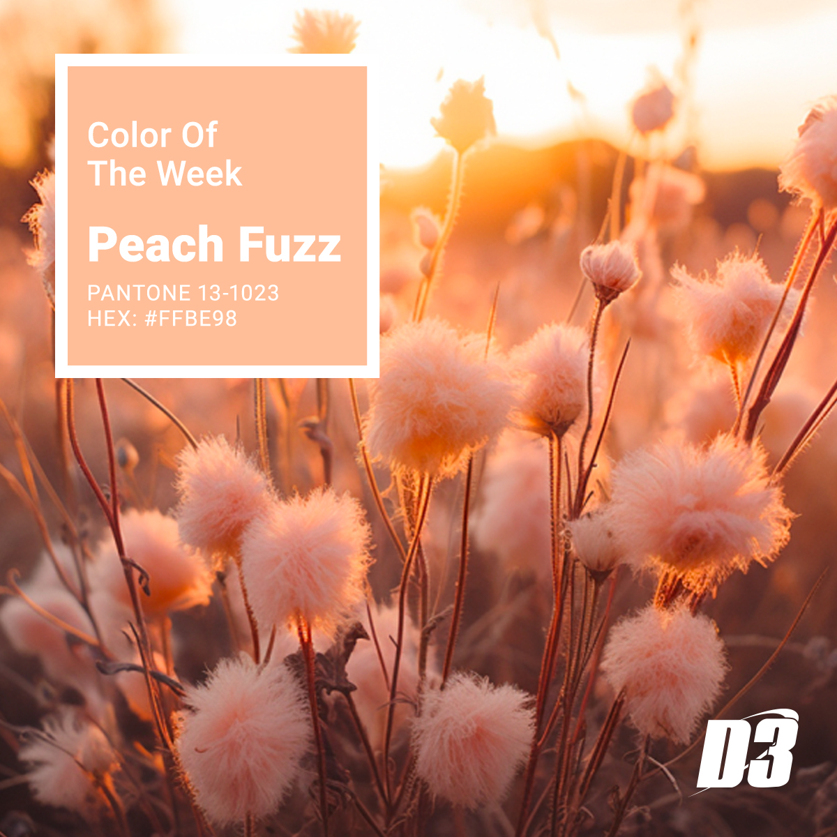 This week's color is the Pantone color of 2024 - Peach Fuzz. Keep an eye out later this week for a color of the year roundup post!