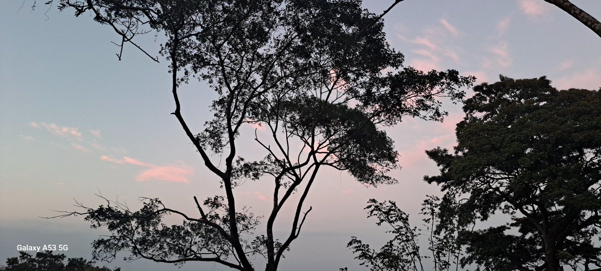 El cielo en #Nicaragua evidencia la inmensidad de este país, sus árboles verdes representan el amor a la naturaleza. En este país se vive la paz y la tranquilidad #SomosUNAN #13DeJulio
#4519LaPatriaLaRevolución #MásVictoriasMásBienestar #TropaSandinista <a href="/C9Michelle/">Slilma Li sangni</a> <a href="/TE2021/">Tropa Sandinista</a>