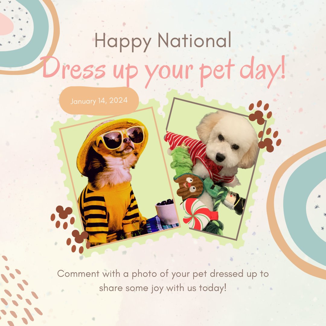 aAvanceChiro's tweet photo. Show us your pets all dressed up! https://t.co/ChKGqOgGAF