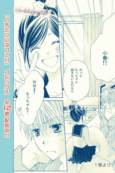 宅配便配送 ハチミツにはつこい（3〜7巻、9〜12巻） 好かっ 少女漫画