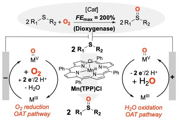 Stahl Lab tweet media