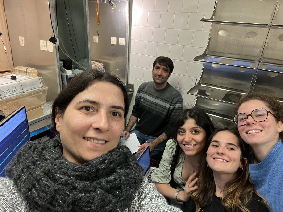 Giulia Curia, PhD tweet media