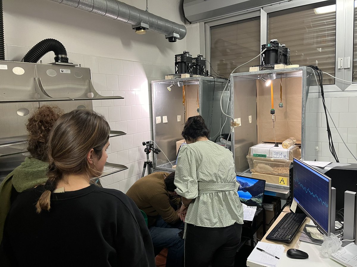 Giulia Curia, PhD tweet media