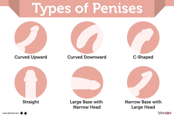 Which ones yours when erect? https://t.co/iAMzCG8g39