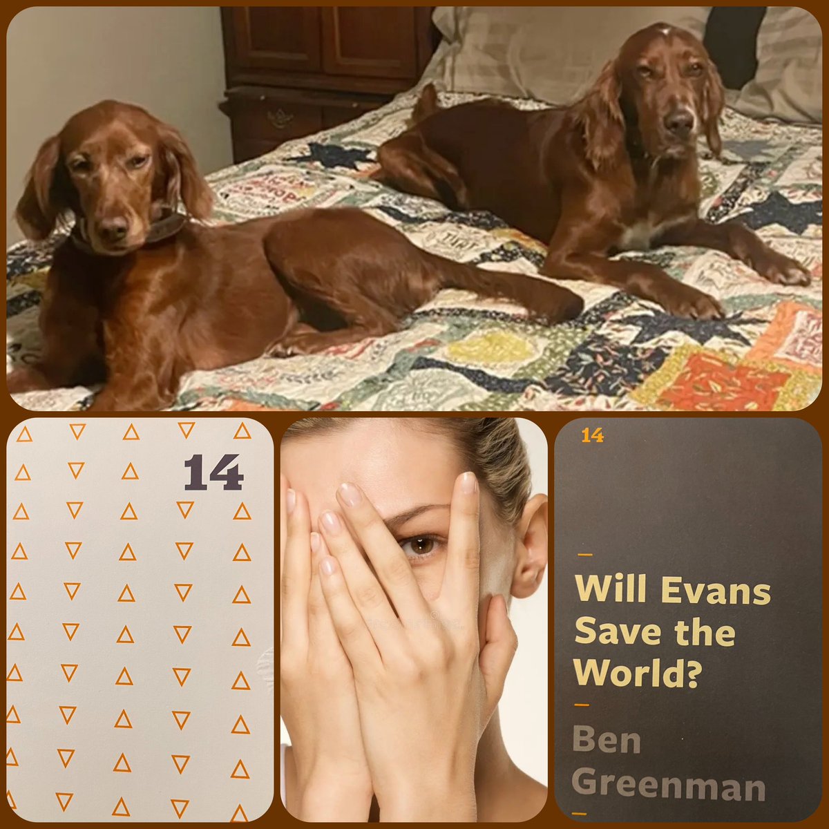 mrmuleman's tweet photo. Day 14 #ssac2018
“Will Evans Save the World?” by Ben Greenman

The repetitive nature of this story had me reminded of the Talking Heads’ “Once In A Lifetime”.

Well done..left me wanting more answers😎

@ttbrader @barbaramcveigh @DesmondReid https://t.co/EzXDVdAkh5