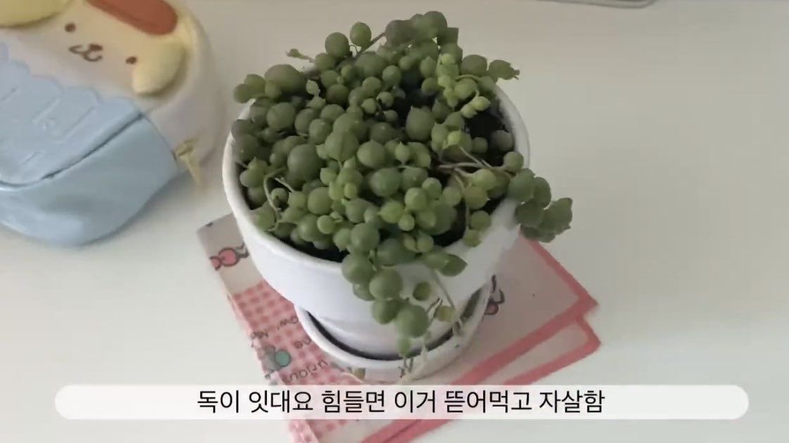 qonldc's tweet photo. https://t.co/GtOaFeqygx
