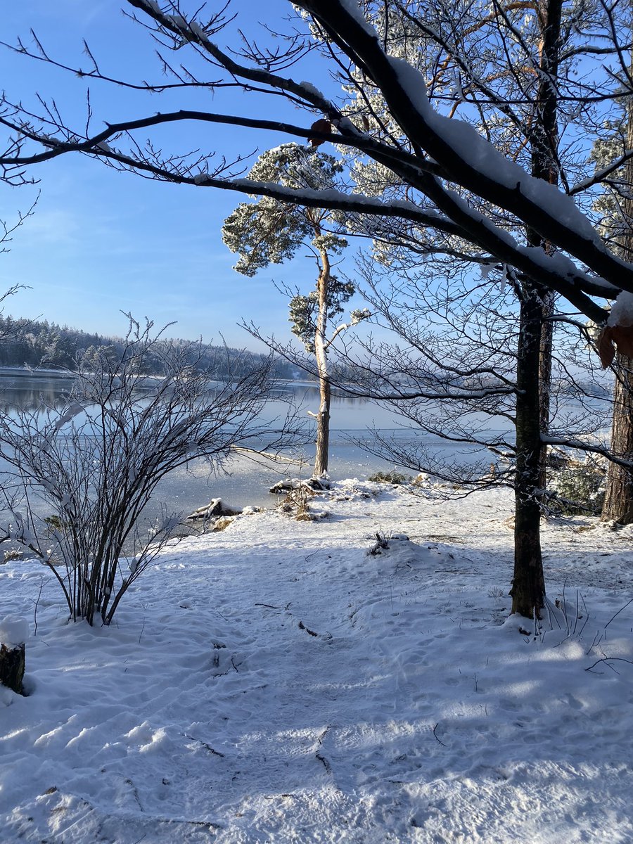 Herrmaennchen's tweet photo. So ist der Winter schön. #Osterseen https://t.co/mQATj2paBl