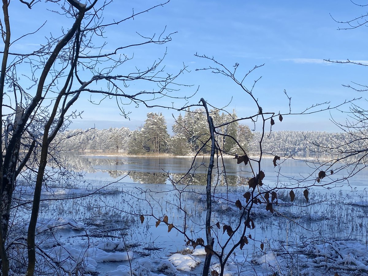 Herrmaennchen's tweet photo. So ist der Winter schön. #Osterseen https://t.co/mQATj2paBl