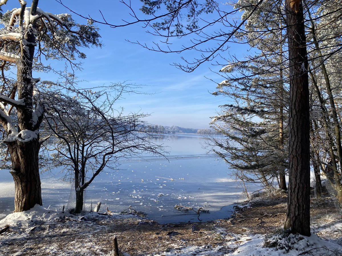 Herrmaennchen's tweet photo. So ist der Winter schön. #Osterseen https://t.co/mQATj2paBl