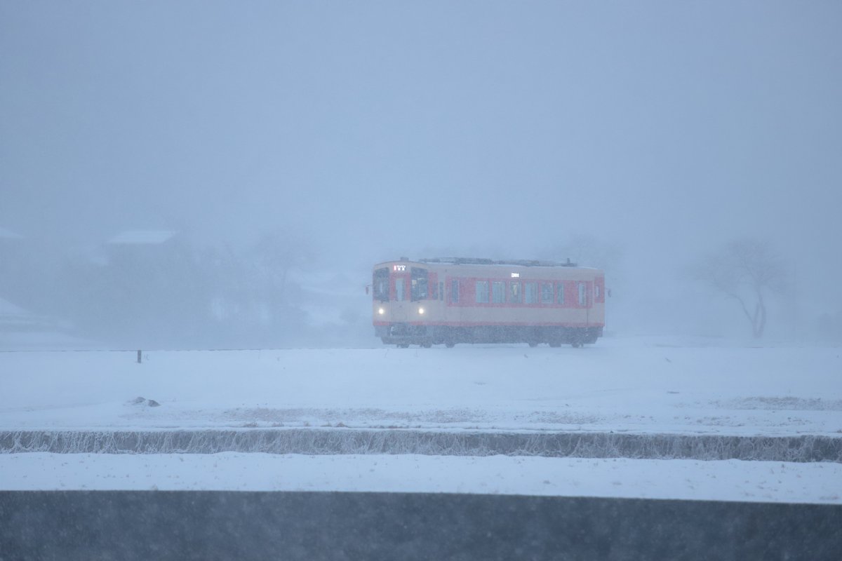 k_kohya's tweet photo. 2024/01/13 16:43
長良川鉄道 白鳥高原～美濃白鳥
ﾅｶﾞﾗ6形 601
北濃発 普通2018ﾚ 美濃太田行

真横に雪が飛んでいく吹雪の中での撮影・・・寒すぎて死ぬかと思った(^^;)。

#長良川鉄道 #ﾅｶﾞﾗ6形 https://t.co/2g3LT4L9dq