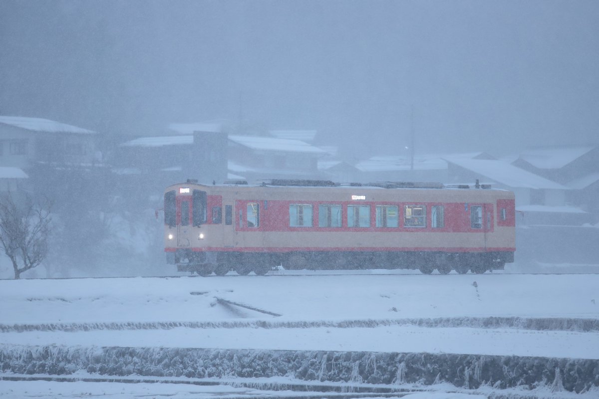 k_kohya's tweet photo. 2024/01/13 16:43
長良川鉄道 白鳥高原～美濃白鳥
ﾅｶﾞﾗ6形 601
北濃発 普通2018ﾚ 美濃太田行

真横に雪が飛んでいく吹雪の中での撮影・・・寒すぎて死ぬかと思った(^^;)。

#長良川鉄道 #ﾅｶﾞﾗ6形 https://t.co/2g3LT4L9dq