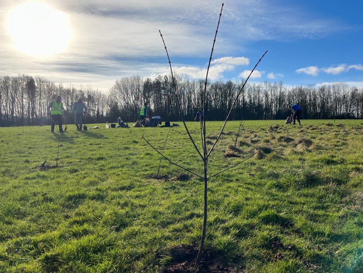 Derby Parks tweet media