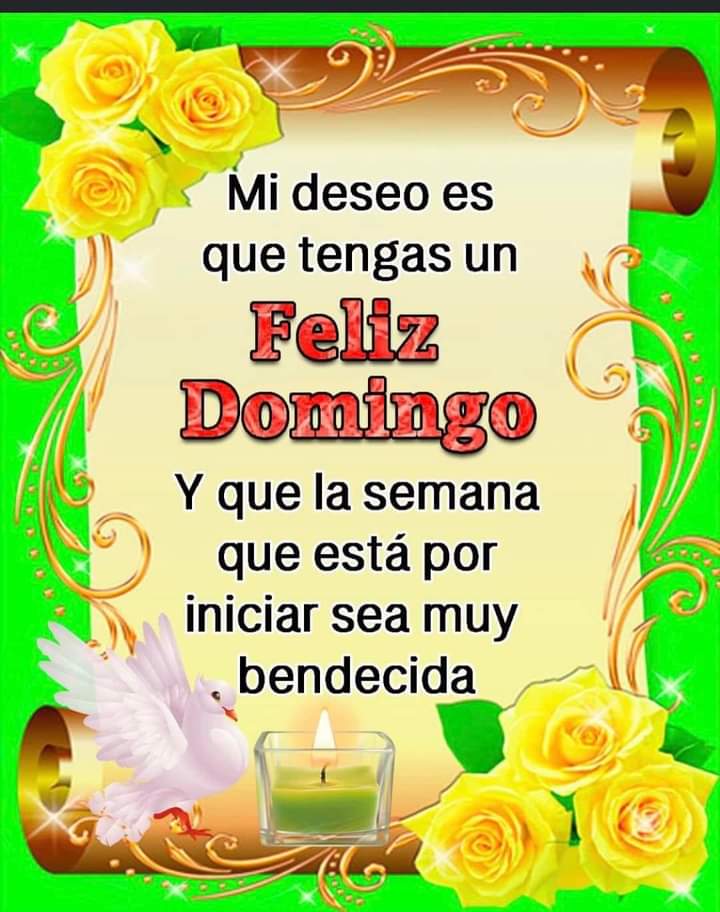 Que  tengan un Feliz y Bendecido Domingo  🙏☘️🌹🌼🌺