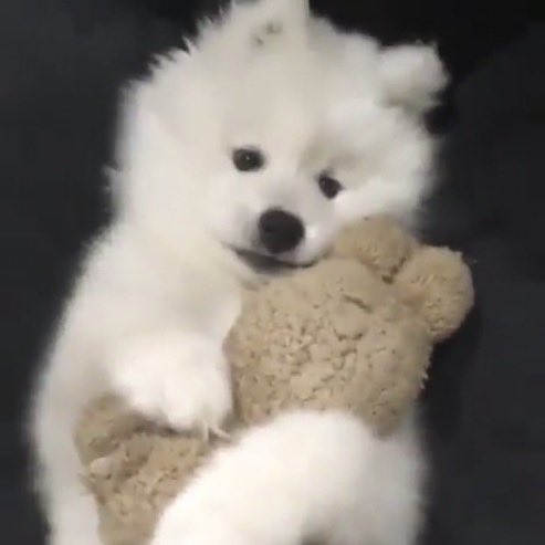 หอมก่อนนอนล้ายัง