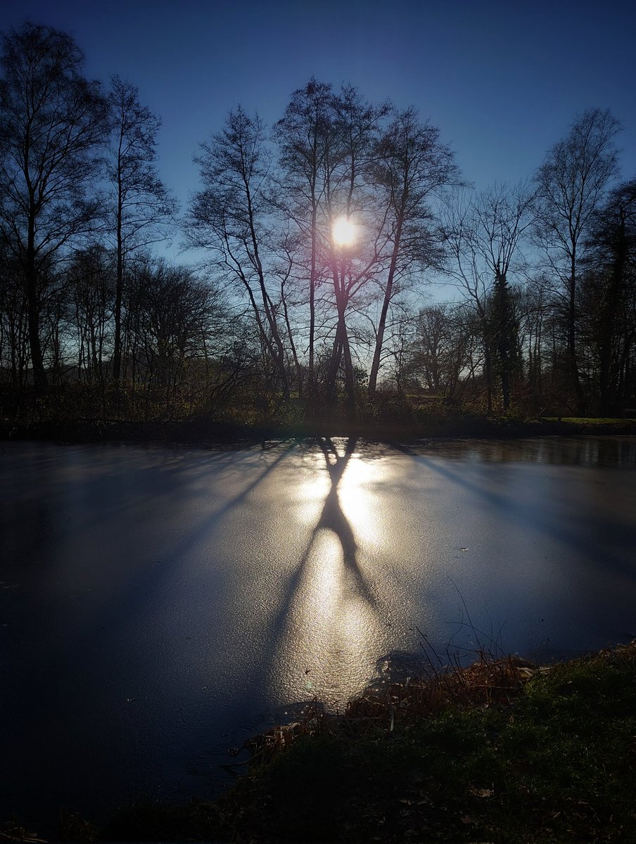 ibridges1301's tweet photo. Winter sunshine this last week.....💛☀️ https://t.co/E9XUPzlAw9
