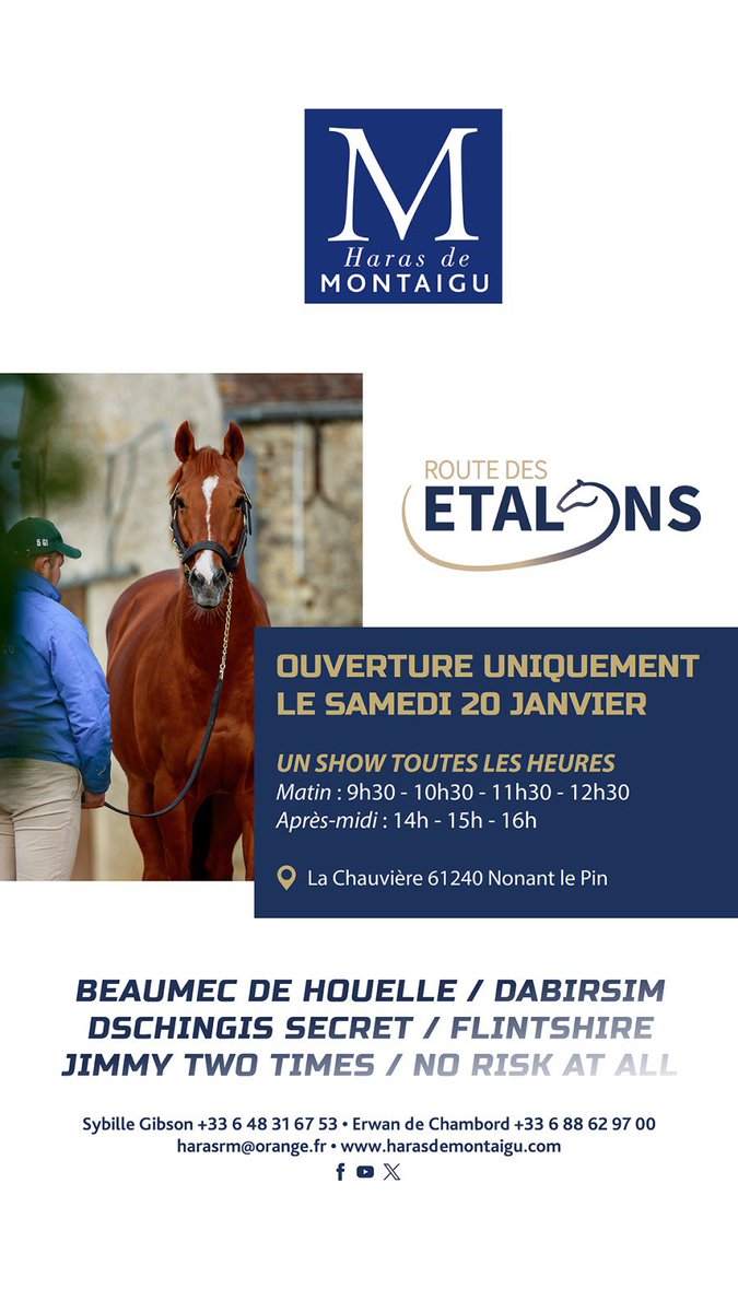 HarasMontaigu's tweet photo. #RouteDesEtalons 2024
Rendez vous Samedi 20 janvier seulement
Shows toutes les heures
A partir de 9h30
#BeaumecDeHouelle,
#Dabirsim, #DschingisSecret,
#Flintshire, #JimmyTwoTimes, &
#NoRiskAtAll
vous attendent
Au lieudit La Chauviere https://t.co/nvZVBFuUwJ