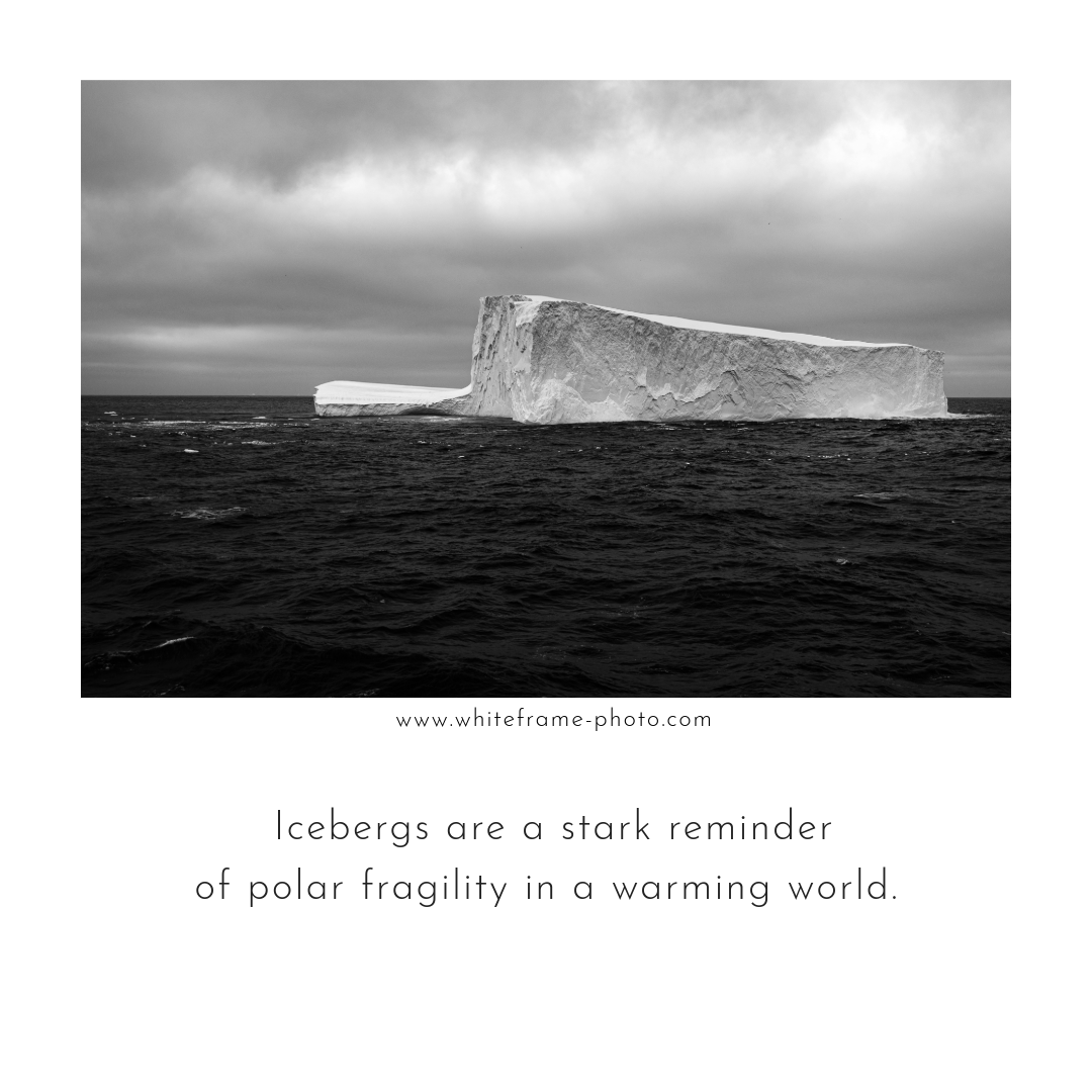 Kweisleitner's tweet photo. Globally, 2023 was the warmest year on record, by a huge margin.
#Arctic #expedition #climatechange #scicomm #photography #bw #climatevisuals https://t.co/gHmvELzTlO