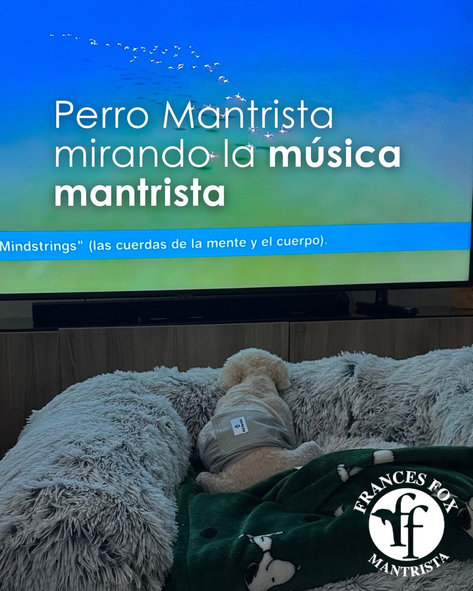 La Mantrista rescato a este perrito y dice que pasa mucho tiempo mirando el video.
Trilling: Música Mantrista para los Mindstrings: youtube.com/watch?v=vO-MxC…
#Francesfox #perromantrista #Mantra #meditacion #Movimientomantrista