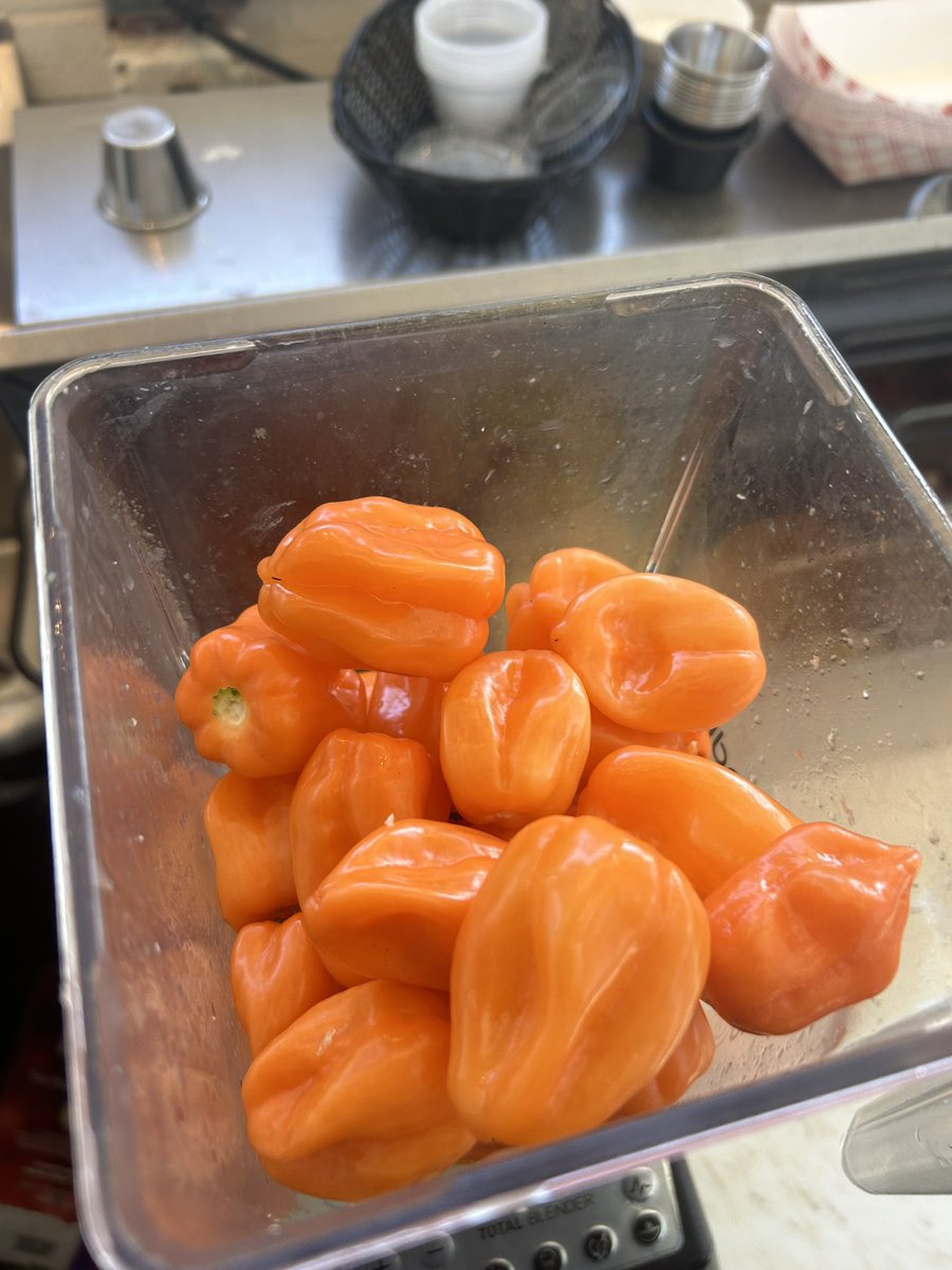 TLNola's tweet photo. The habanero salsa is back for those crazy Loceauxvores (is that redundant?) who crave it. #protip after making this wash your hands BEFORE going to the bathroom #painfullessons. https://t.co/9kklt3RFdP