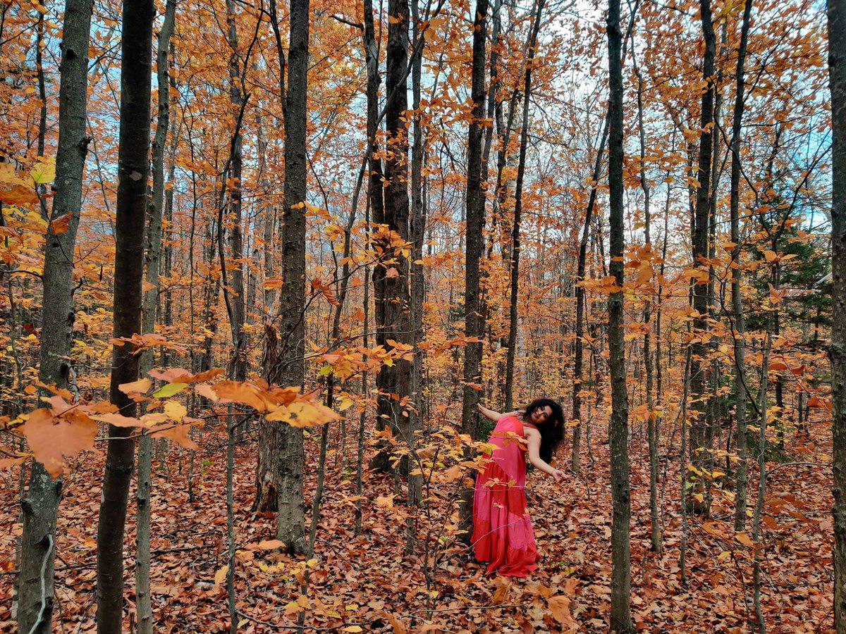 portraitbypriya's tweet photo. Fall Season in New Hampshire, USA
🍁🍂

#priyankasahani https://t.co/uYKAA8NKf4
