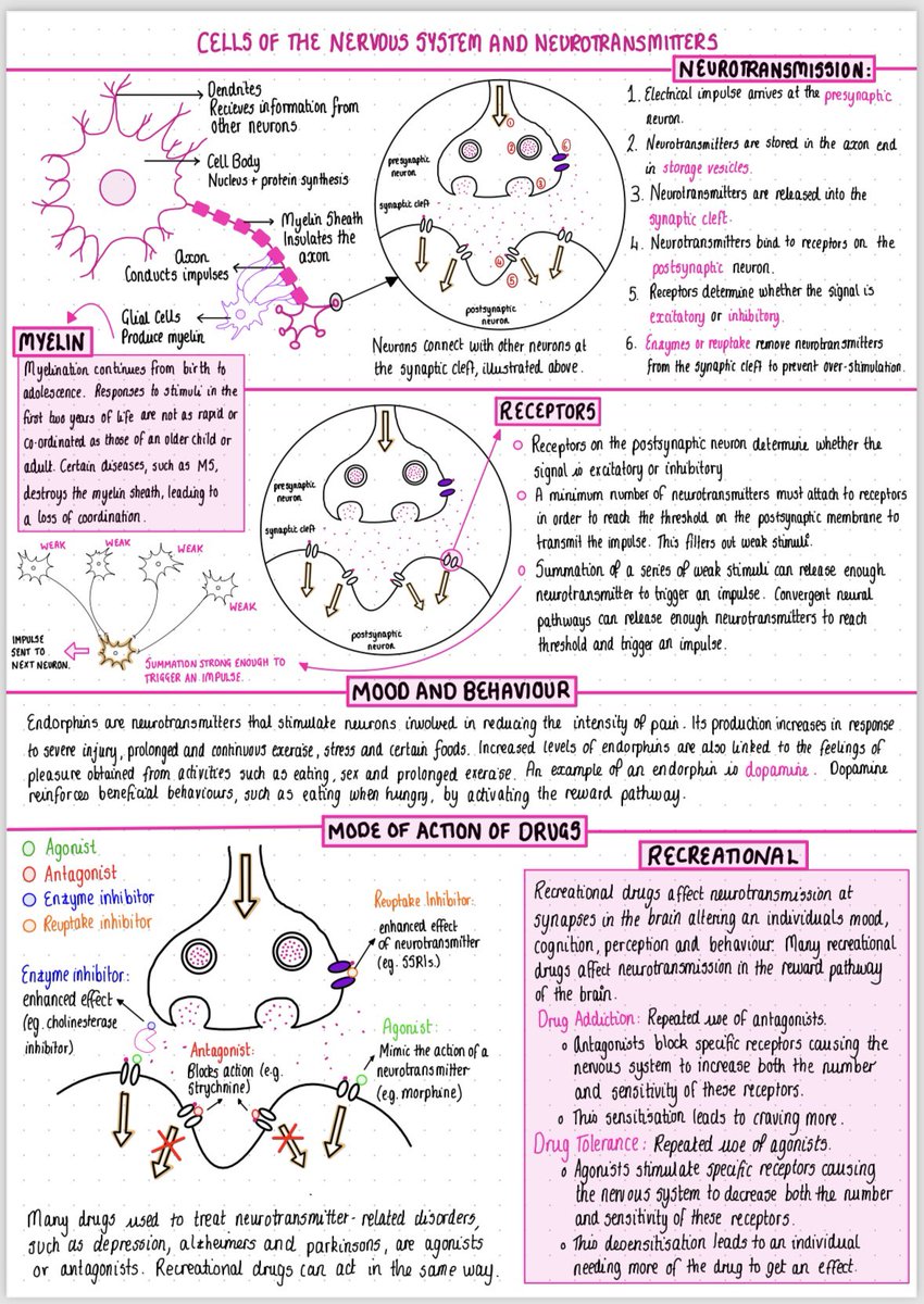 Miss Downie tweet media