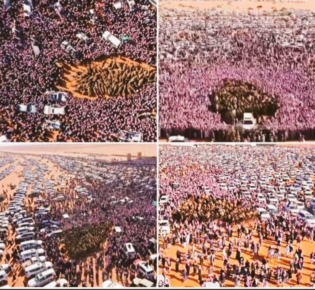 لطامة ناقةٍ ماقصرت نومست جمهورهاومحبينهاولا هيب فقيده

الفقيدة والله هي لطامات بكبرها اللي افتقدها مجال الابل بكبره

 وافتقدها المهرحان وميادينه وافتقدها الجمهور الغفير