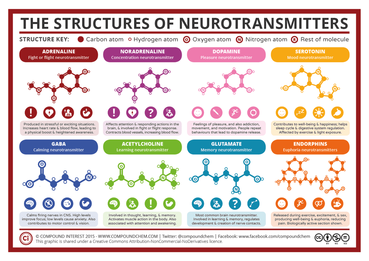 Every thought & feeling you experience causes a biochemical reaction that floods your entire body. If your emotions are inflamed: Your biology becomes inflamed.