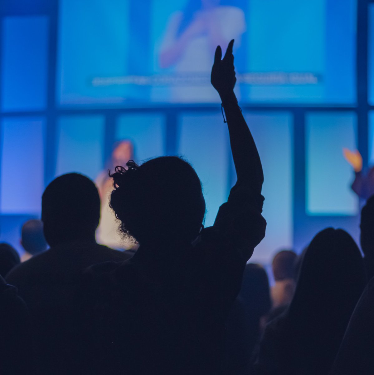 Semillas de Vida tweet media