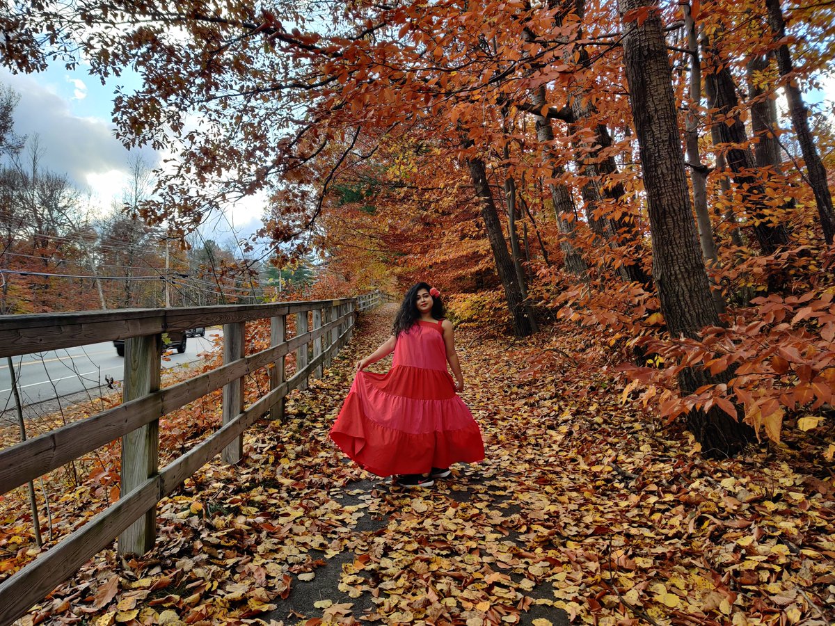 portraitbypriya's tweet photo. Fall Season in New Hampshire, USA
🍁🍂

#priyankasahani https://t.co/uYKAA8NKf4