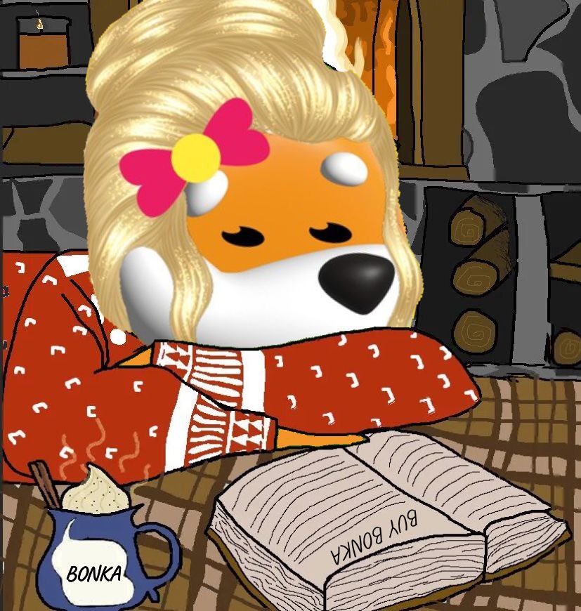 BONKA tweet media