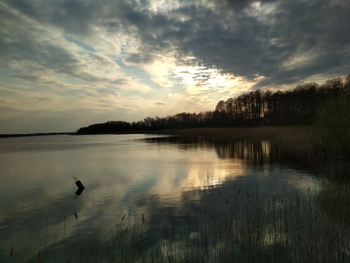 ania_karnkowska's tweet photo. 🦠🔬🧬Another PhD chapter by @MichalKarlicki is now available as a preprint: Seasonal dynamics and drivers of microbial communities in a temperate dimictic lake: insights from metabarcoding and machine learning. 🥳
Read more: 👇 https://t.co/WprIXBuaLL https://t.co/luVR6fGwEO