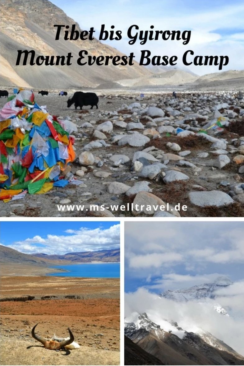Heute und gestern eine Dokumentation gesehen, daher hier meine Erfahrungen zum #MountEverest Base Camp. Ach, war das schön! ❤️ Meine #Tibet und #Nepal #Reise 
ms-welltravel.de/wohlfuehlzeit/…