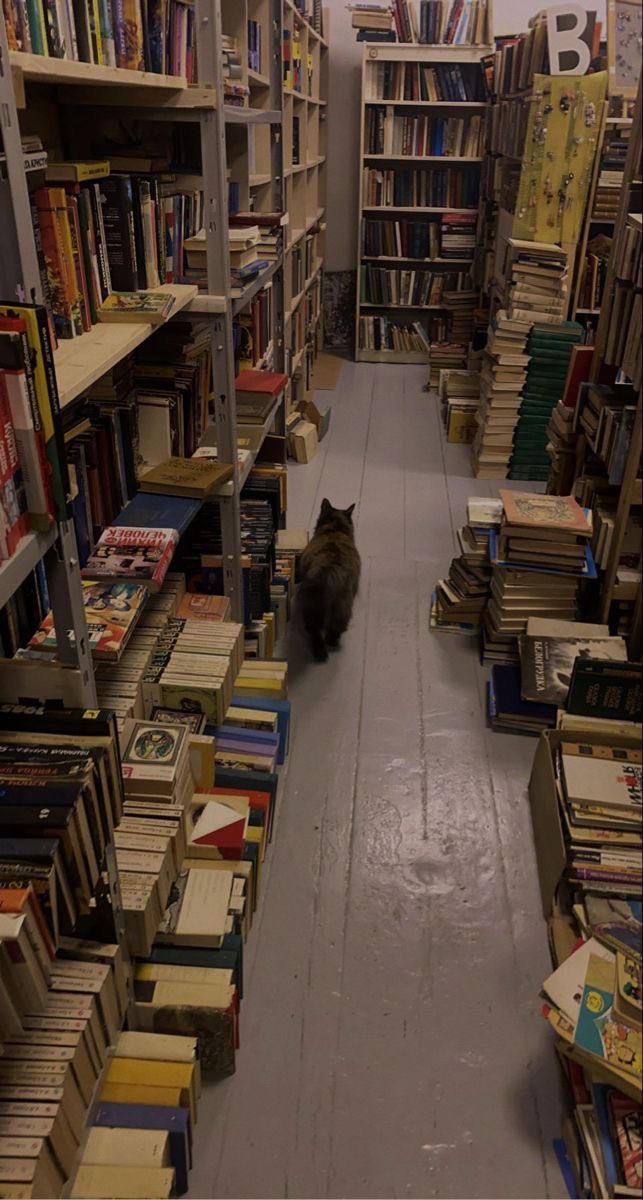 kwithmanon's tweet photo. livros lidos em 2024
          — a thread https://t.co/y5jiJPxKSi