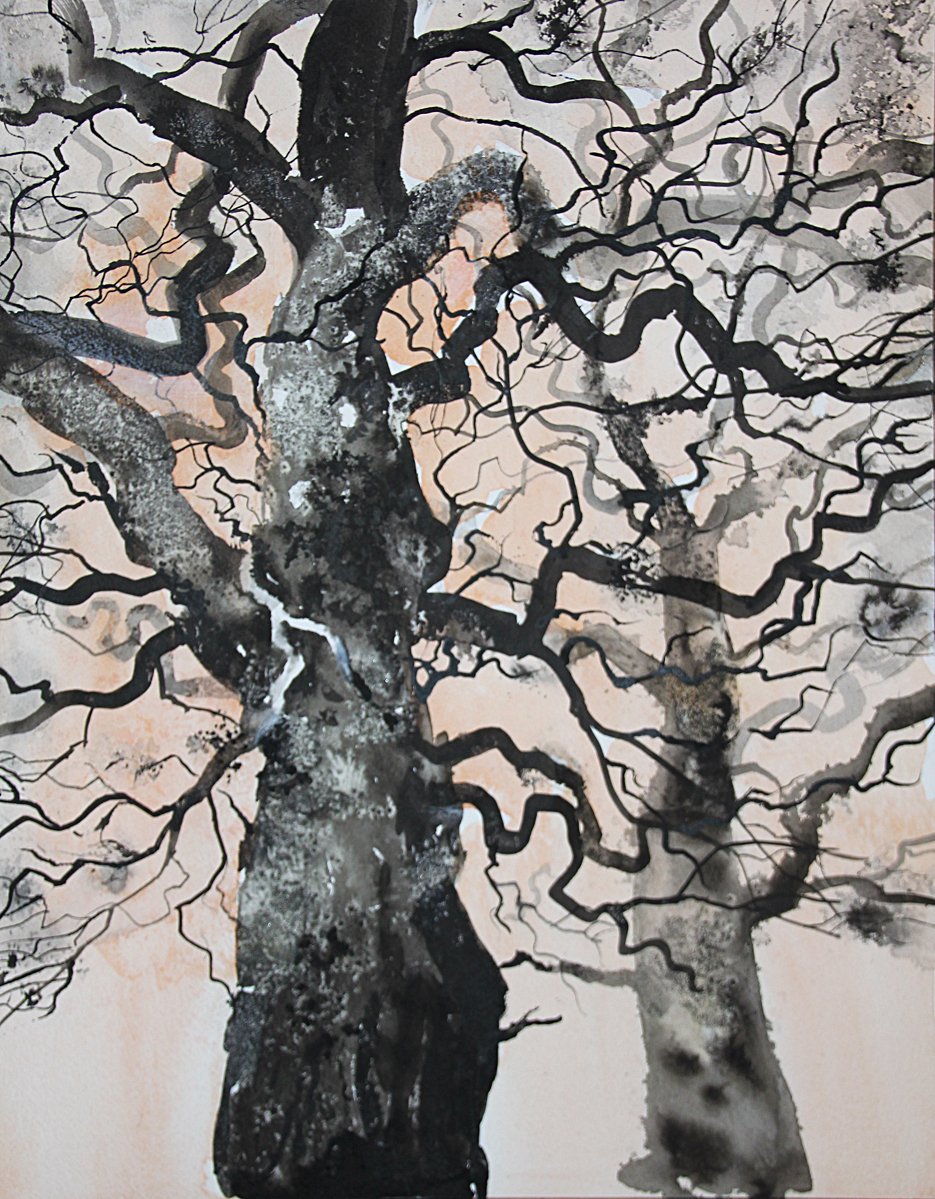 Blenheim's ancient oaks. Ink and watercolour