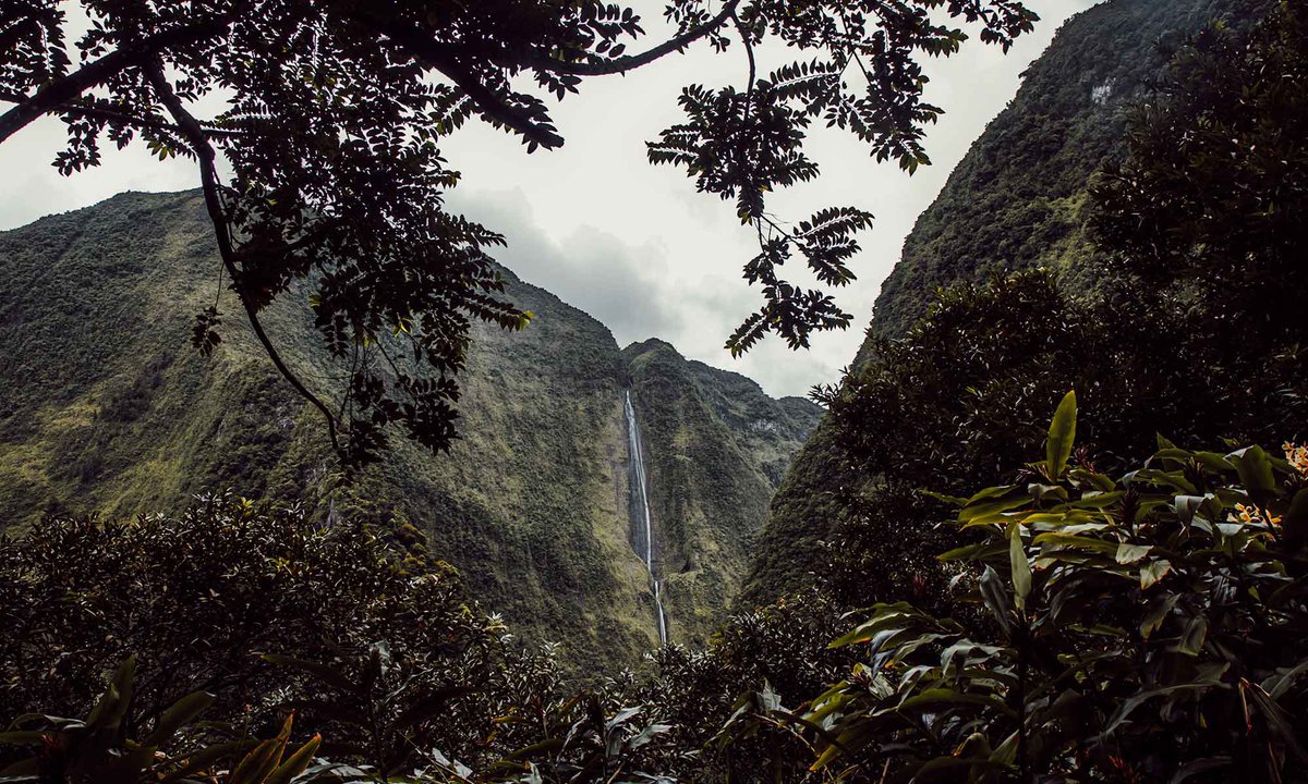 aca_elephant's tweet photo. We explored Cirque de Salazie, nestled within the lush landscapes of Réunion Island. Cascading waterfalls, vibrant flora, and dramatic geological formations create a breathtaking natural spectacle.
#travelblog #travelcouple #wanderlust #tourism #travel #hellbourg #salazie #france https://t.co/5ZVj2mOuDp