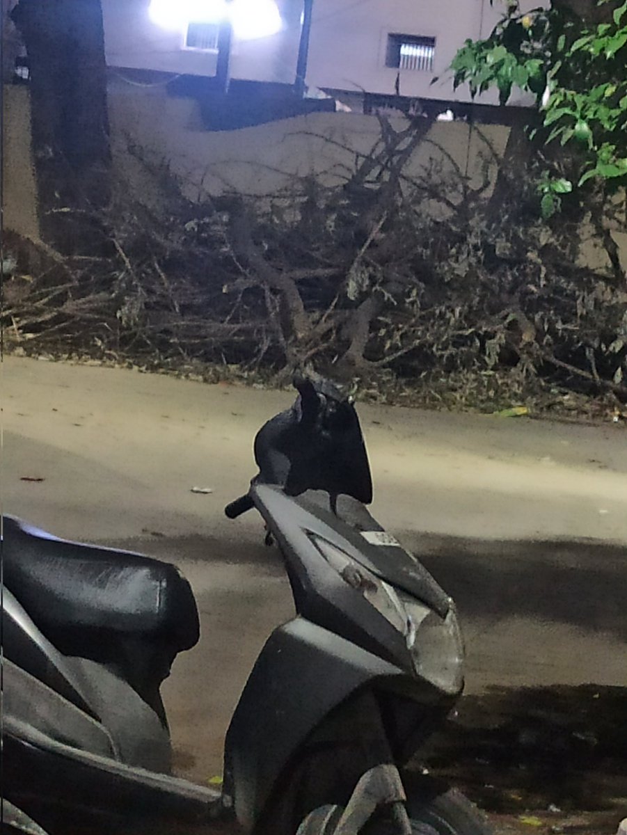 MOHD AZEEM tweet media