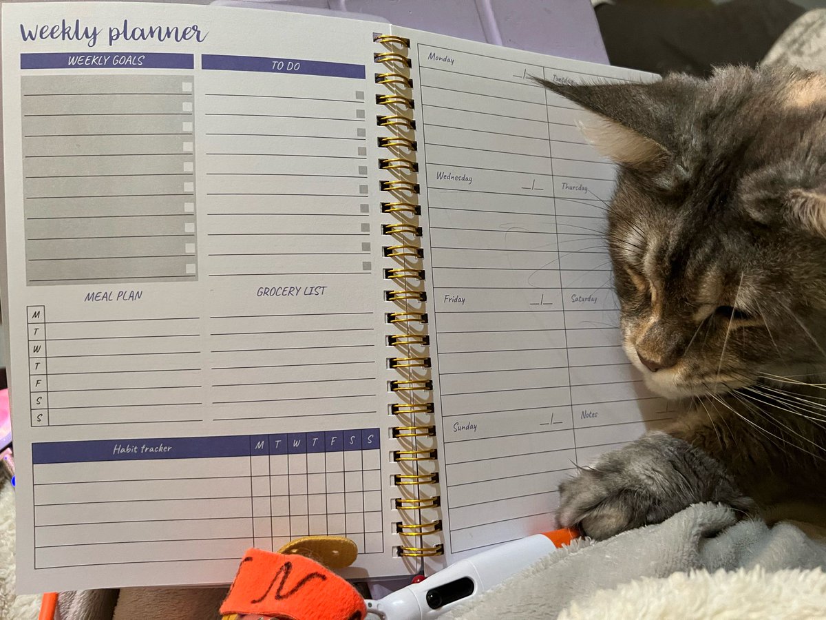 Is there anything quite so lovely (and scary) as a virgin notebook or planner? We’ve a little ‘help’ filling in the blanks from a resident chaos kitty as we get organised for a busy week. What’s your day to day organisational system like? Soul sold to Siri, here! #SelfCareSunday