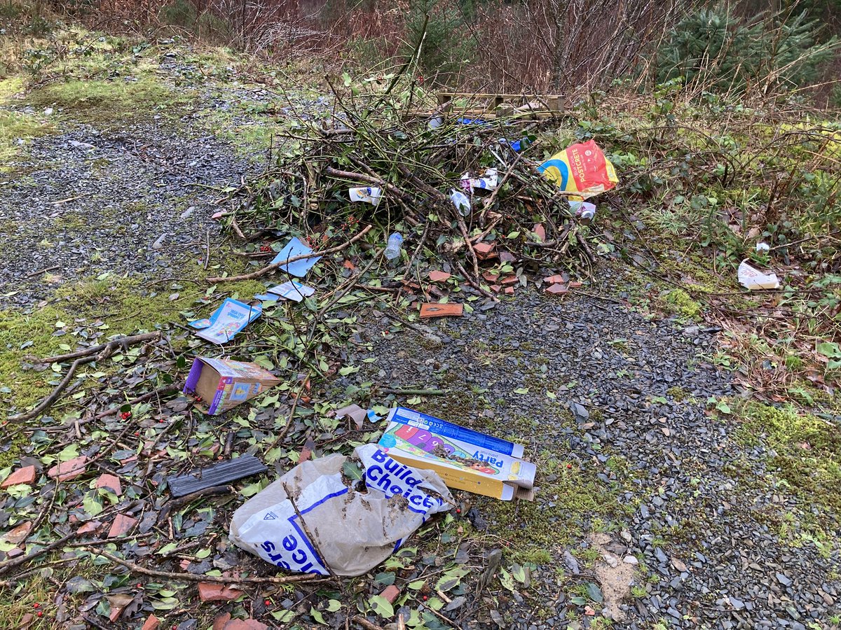 Zwartbie's tweet photo. Why? I will never understand why people do this! Most of this (apart from the pallet) could have gone in household recycling or waste picked up by the council, but no  - someone has taken the time to load up a vehicle and drive this out into the forestry to dump it. What shits! https://t.co/rr2uZHVYoo