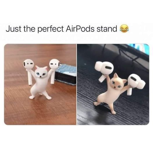 WholesomeMemes tweet media