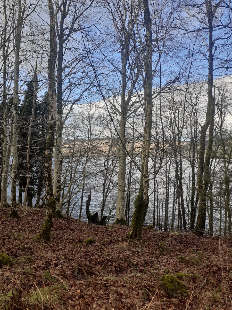 A wee bit of bright sky whilst driving the lochside road that leads to <a href="/Kintailbop/">Kintail Birds of Prey Argyll Ltd</a>